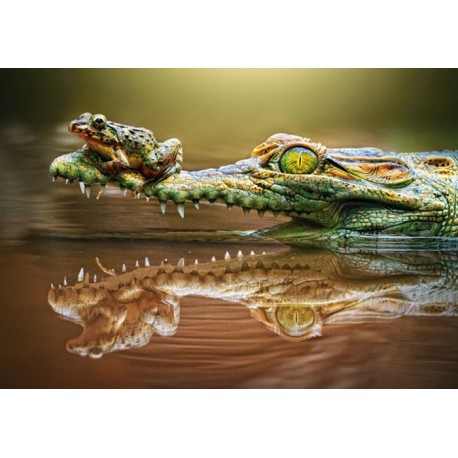 Крокодил и лягушка Пазлы Castorland