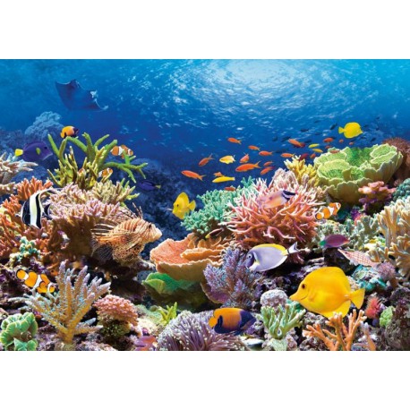 Коралловый риф Пазлы Castorland