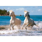 Белые лошади Пазлы Castorland