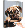  Любимый щенок мопс Животные Собака Раскраска картина по номерам на холсте AAAA-ST0010