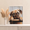  Любимый щенок мопс Животные Собака Раскраска картина по номерам на холсте AAAA-ST0010