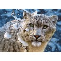 Снежный леопард Пазлы Castorland
