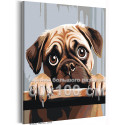 Любимый щенок мопс Животные Собака 80х100 Раскраска картина по номерам на холсте
