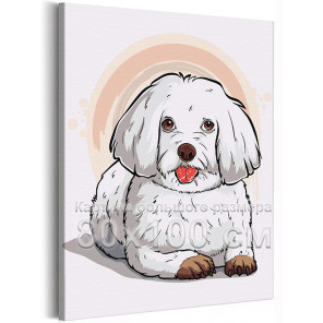 Белая болонка Животные Собаки Для детей Для девочек Для мальчика 80х100 Раскраска картина по номерам на холсте