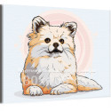Любимый шпиц Животные Собаки Для детей Для девочек Для мальчика 80х100 Раскраска картина по номерам на холсте