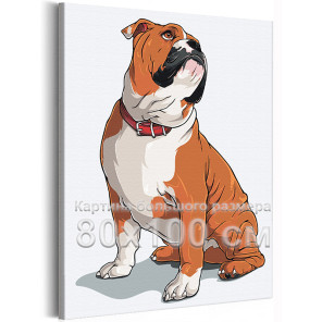 Любимый английский бульдог Животные Собака Для детей 80х100 Раскраска картина по номерам на холсте