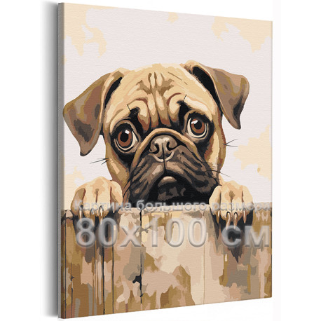 Мопс с большими глазами / Мопс влюблен в тебя Животные Собаки Интерьерная 80х100 Раскраска картина по номерам на холсте