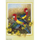 Попугаи Алмазная мозаика на подрамнике Цветной