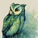 Изумрудная сова Раскраска картина по номерам на холсте Color Kit