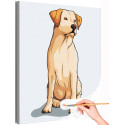 Умный лабрадор Животные Собака Для детей Раскраска картина по номерам на холсте