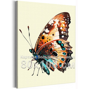 Бабочка шоколадница Насекомые Лето Природа 80х100 Раскраска картина по номерам на холсте