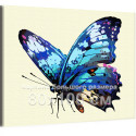 Голубая бабочка Насекомые Лето Природа 80х100 Раскраска картина по номерам на холсте