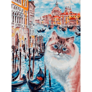  Мечты о Венеции Раскраска картина по номерам на холсте Белоснежка 969-AS