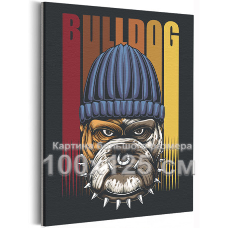 Сторожевой бульдог в шапке Собаки Животные 100х125 Раскраска картина по номерам на холсте