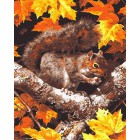 Белочка осенью Раскраска картина по номерам акриловыми красками на холсте Color Kit