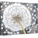 Белый одуванчик Цветы Природа Стильная Интерьерная 100х125 Раскраска картина по номерам на холсте