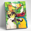 Тропические попугаи Раскраска картина по номерам на цветном холсте Molly