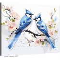 Голубые сойки на цветущем дереве Птицы Цветы Весна Любовь Романтика 80х100 Раскраска картина по номерам на холсте