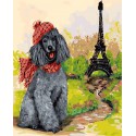 Пудель - парижанин Раскраска картина по номерам на холсте Color Kit