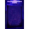 Скорпион звездной ночью Животные Хищники Яркая Стильная Интерьерная 80х100 Раскраска картина по номерам на холсте