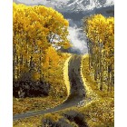 Осенняя дорога Раскраска картина по номерам на холсте