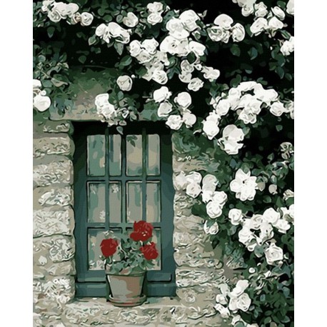 Цветок на окне Раскраска картина по номерам на холсте