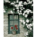 Цветок на окне Раскраска картина по номерам на холсте