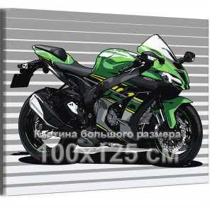 Зеленый гоночный мотоцикл Байк Спорт Для мужчин 100х125 Раскраска картина по номерам на холсте