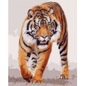 Бенгальский тигр Раскраска картина по номерам на холсте