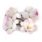 Цветы сакуры нежно-розовые для скрапбукинга, кардмейкинга Scrapberry's