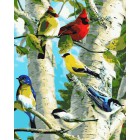 Птички на березе Раскраска картина по номерам на холсте