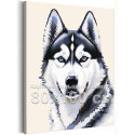 Портрет сибирской хаски Животные Собака Легавая Для детей для подростков Для девочки Для мальчика 80х100 Раскраска картина по но