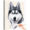 1 Портрет сибирской хаски Животные Собака Легавая Для детей для подростков Для девочки Для мальчика Раскраска картина по номерам