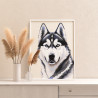 4 Портрет сибирской хаски Животные Собака Легавая Для детей для подростков Для девочки Для мальчика Раскраска картина по номерам