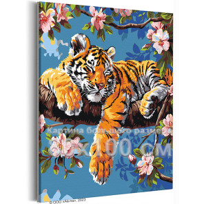 Тигренок на цветущем дереве Животные Тигр Весна Цветы Ветви 80х100 Раскраска картина по номерам на холсте
