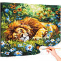 Лев спящий на поляне с цветами Животные Хищники Природа Лето Раскраска картина по номерам на холсте