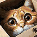 Котик в коробке Алмазная вышивка мозаика Гранни