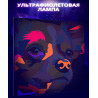8 Радужный чихуахуа Животные Собака Той терьер Поп арт Стильная Интерьерная Легкая Детская Для детей Яркая 80х80 Раскраска карти