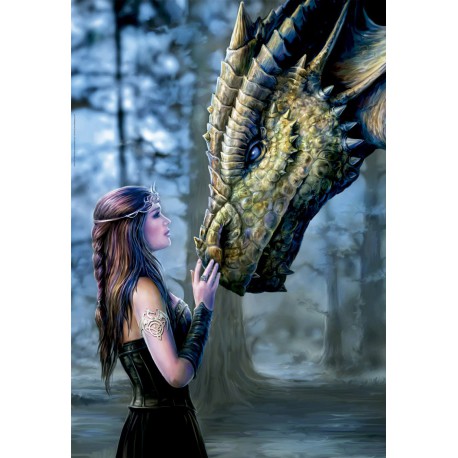 Девушка и дракон Пазлы Educa