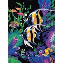 Цветные рыбки Алмазная мозаика стразами на подрамнике Color Kit