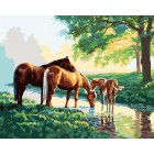 Лошади на водопое Раскраска картина по номерам акриловыми красками на холсте Color Kit