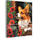 Любимый корги с маками Животные Собаки Щенок Цветы 100х125 Раскраска картина по номерам на холсте