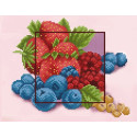 Летние фрукты Канва с рисунком для вышивки бисером Благовест