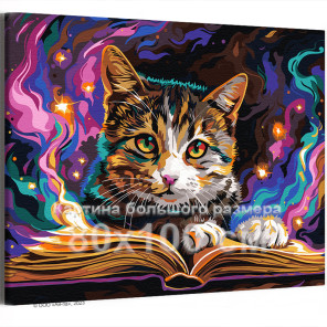 Котик с книгой Животные Кошки Коты Мем Магия Фэнтези Яркая 80х100 Раскраска картина по номерам на холсте