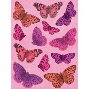 Бабочки Smitten Стикеры для скрапбукинга, кардмейкинга K&Company