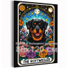 Ротвейлер в цветах Таро Животные Собаки Щенки Эзотерика Звездное небо Луна Стильная 80х120 Раскраска картина по номерам на холст