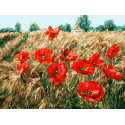  Пшеничное поле Раскраска картина по номерам на холсте Белоснежка 555-AS
