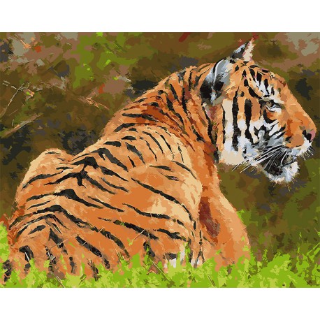Тигр на поляне Раскраска картина по номерам на холсте