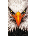 Eagle Набор для вышивания LanArte