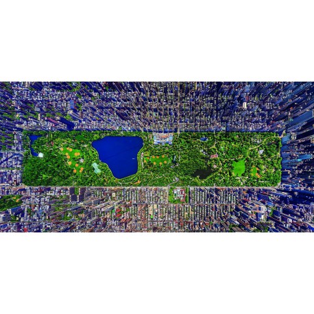 Центральный парк, Нью-Йорк панорама Пазлы Educa